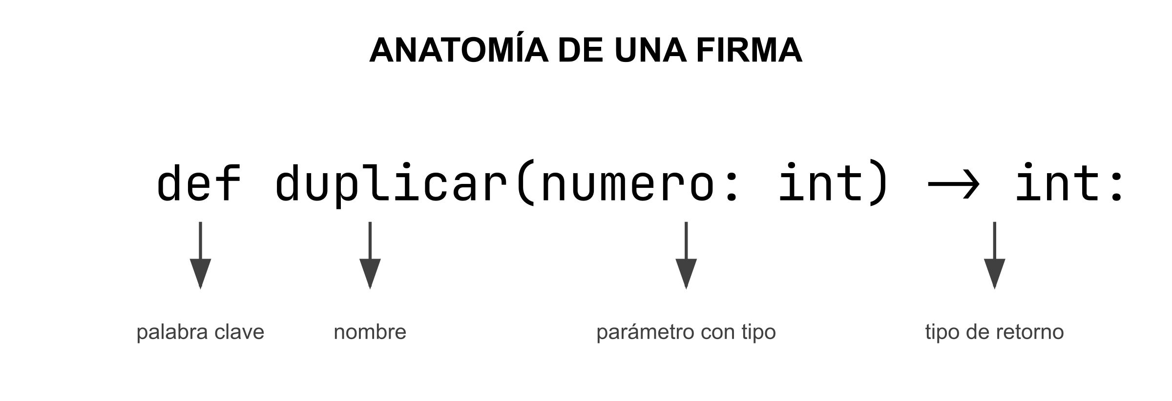 La firma de la función vista de cerca: def duplicar(numero: int) -> int: